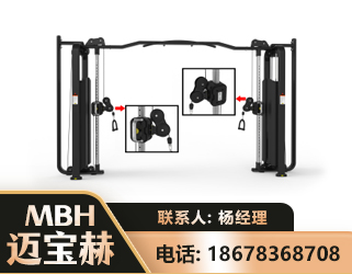 福州大飞鸟训练器